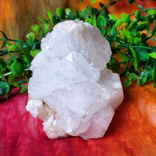 Apophyllite Cluster - (ID: crn29)