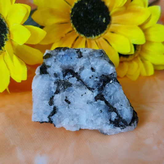 Rainbow Moonstone – (ID: crn43)