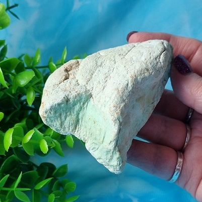 Green Chrysoprase - (ID: crn64)