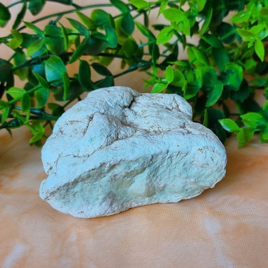Green Chrysoprase - (ID: crn64)