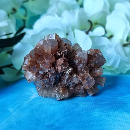 Aragonite Sputnik - (ID: crn98)