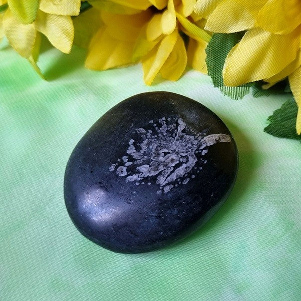 Chrysanthemum Stone – (ID: crp115)
