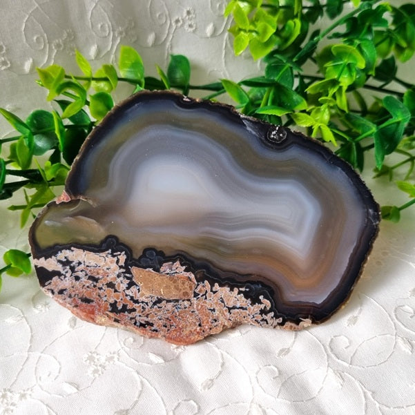 Brown Agate Slice – (ID: crp15)