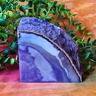 Purple Polished Agate - standing - (ID: crp58)