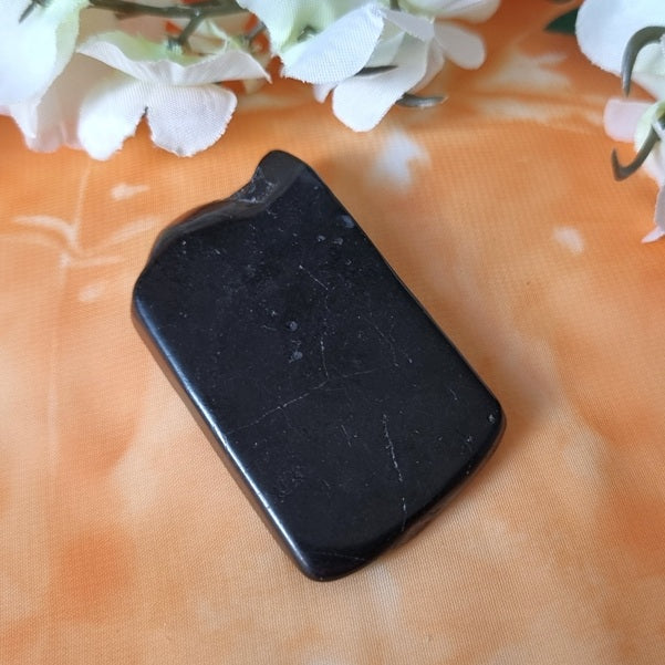 Shungite Slice – (ID: crp66)