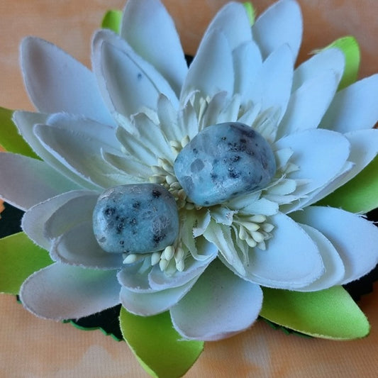 Kiwi Jasper Tumblestones