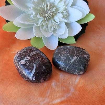 Ocean Jasper Tumblestones - ex-large