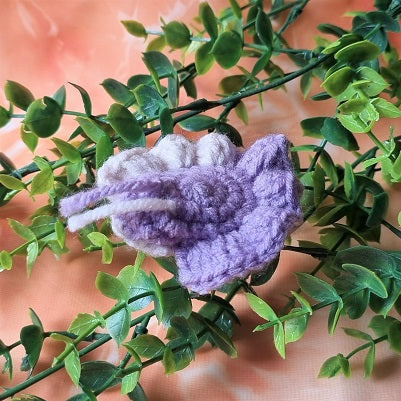 Purple-White Sea Slug – (ID:  sox24)