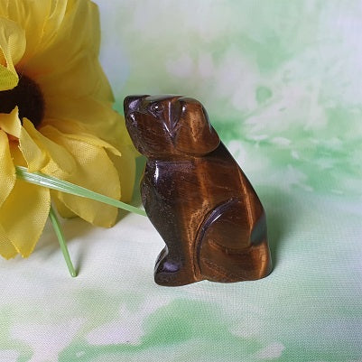 Gold Tigers Eye Dog – (ID: cra13)