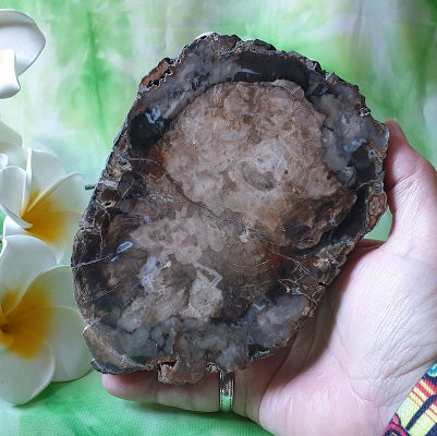 Petrified Wood Slab – (ID: crn56)