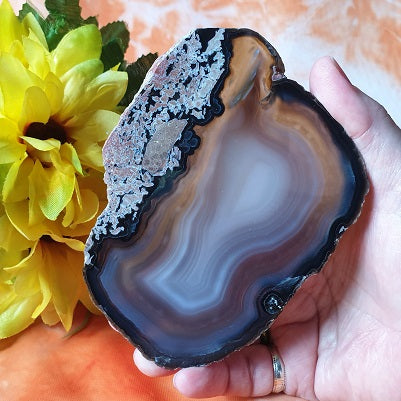 Brown Agate Slice – (ID: crp15)